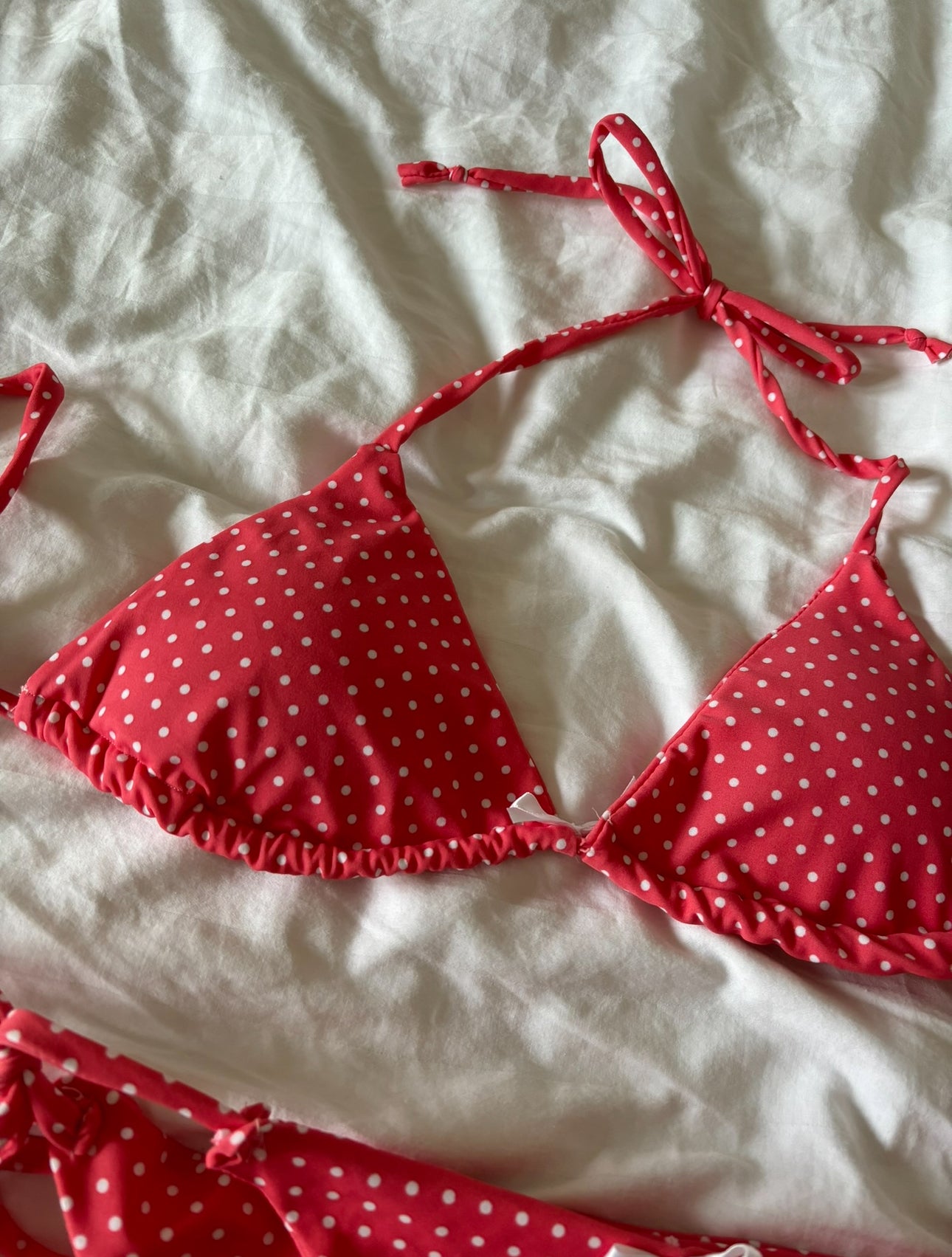 Polka dream